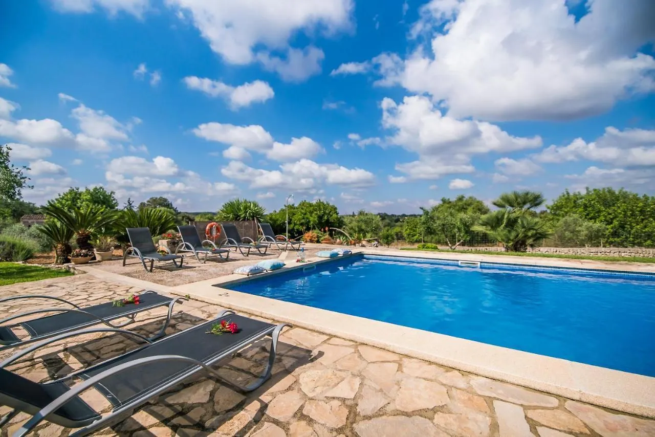 Ideal Property Mallorca - Sa Font Muro 0*,