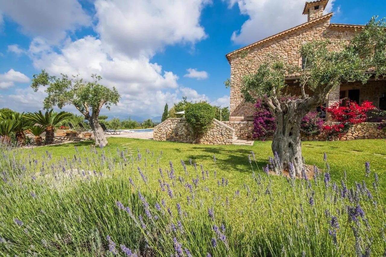 مورو Ideal Property Mallorca - Sa Font إسبانيا